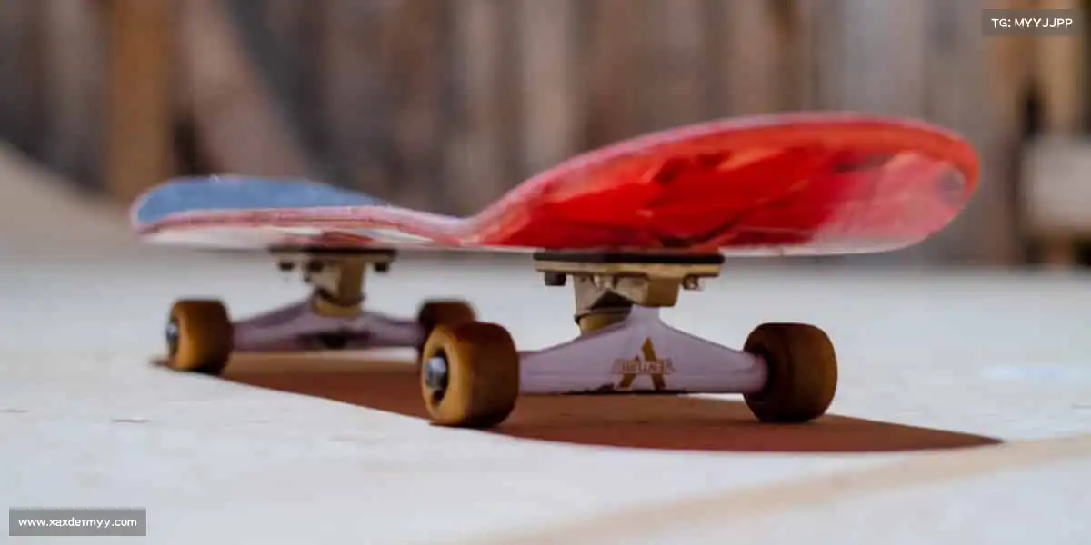 行业领先的理由